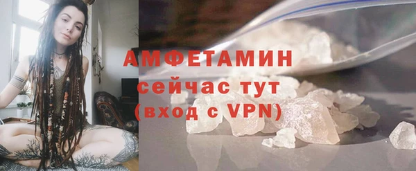 спиды Богданович
