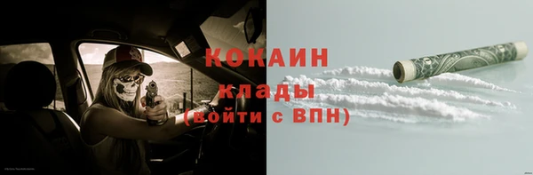 спиды Богданович
