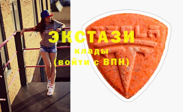 дживик Богородицк