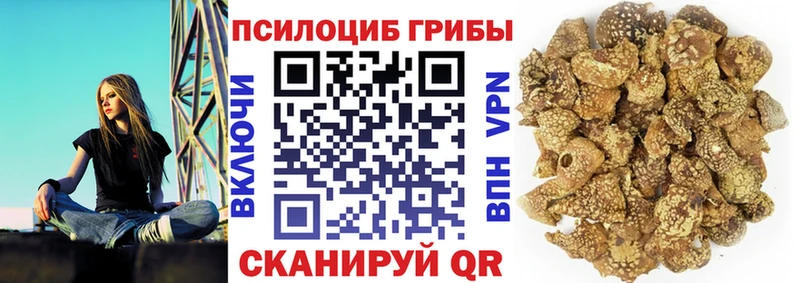 Псилоцибиновые грибы Psilocybine cubensis  Хабаровск 