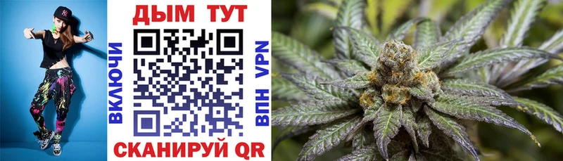 Бошки марихуана SATIVA & INDICA  купить наркотик  Хабаровск 